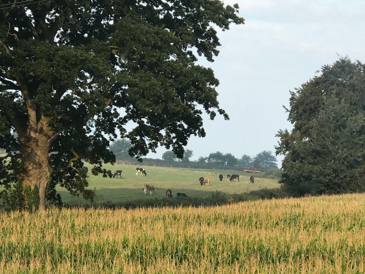 Hunters Lodge Exeter, Free Parking, Country Views, Great Wi-Fi, Large Garden Poltimore Luaran gambar